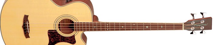 Basses acoustiques